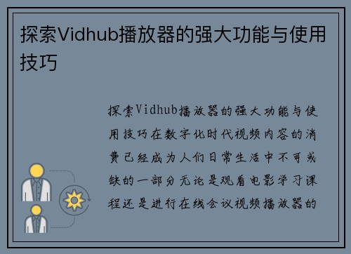 探索Vidhub播放器的强大功能与使用技巧